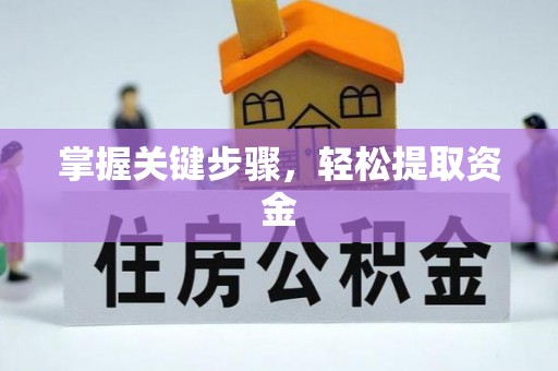 汉中掌握关键步骤，轻松提取资金
