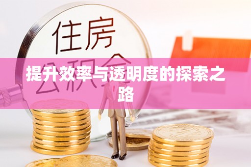 汉中提升效率与透明度的探索之路