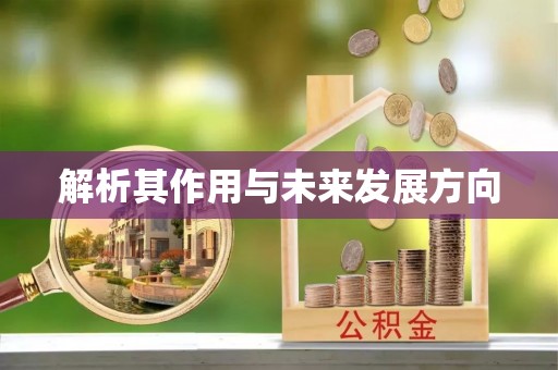 汉中解析其作用与未来发展方向
