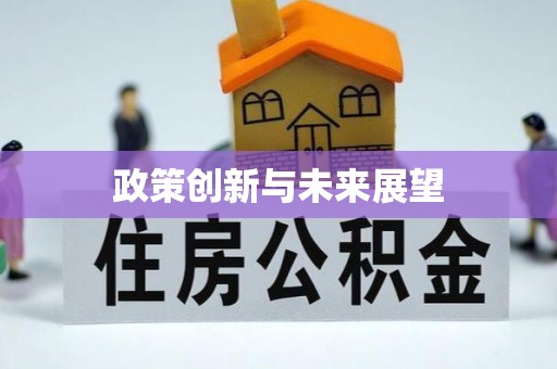 汉中政策创新与未来展望